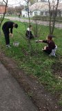 Экологический субботник