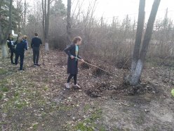 Экологический субботник
